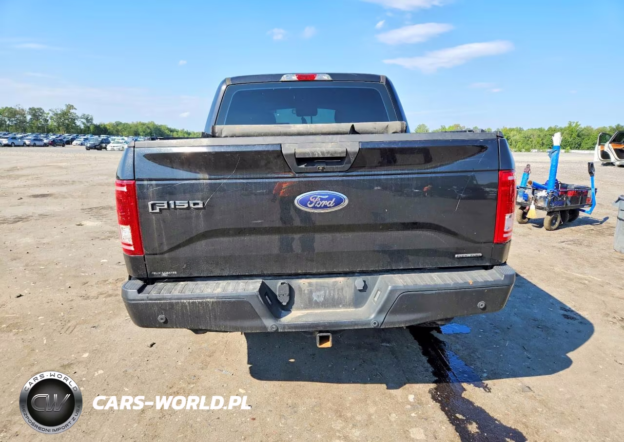 2015 Ford F150 Supercrew VIN:1FTEW1E83FFD09735 - 6