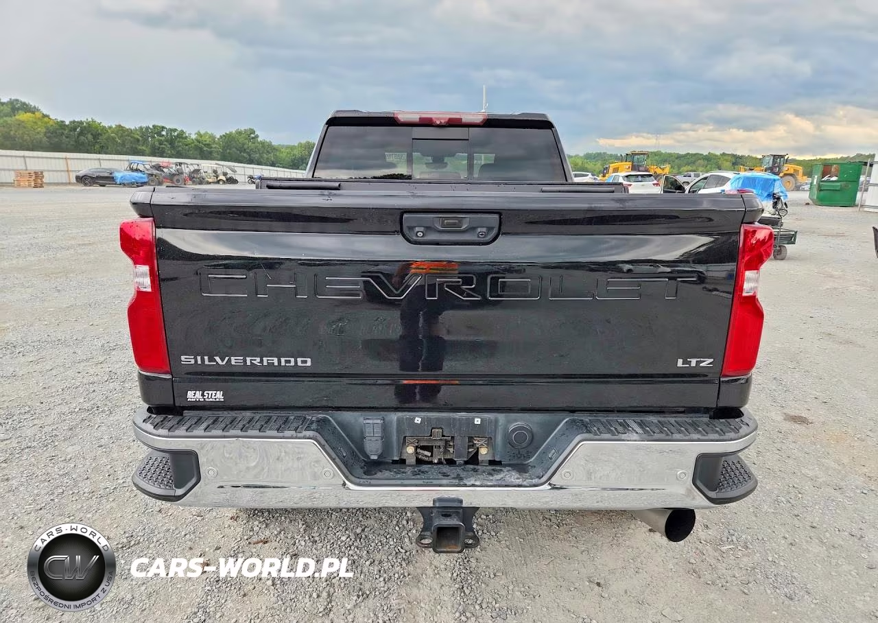 2020 Chevrolet Silverado K2500 Heavy Duty Ltz VIN:1GC4YPEY0LF195844 - 6
