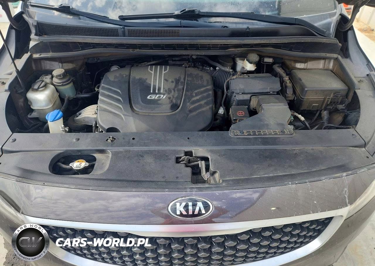 2015 Kia Sedona Lx VIN:KNDMB5C17F6022385 - 12