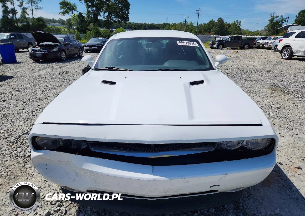 2013 Dodge Challenger Sxt VIN:2C3CDYAG4DH695178 - 5
