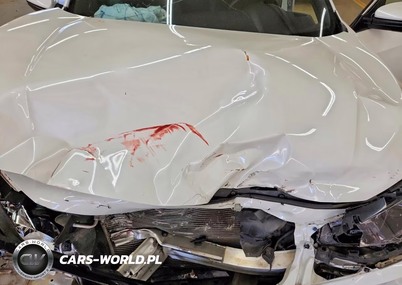 2020 Honda Civic Sport VIN:2HGFC2F89LH568419 - 11