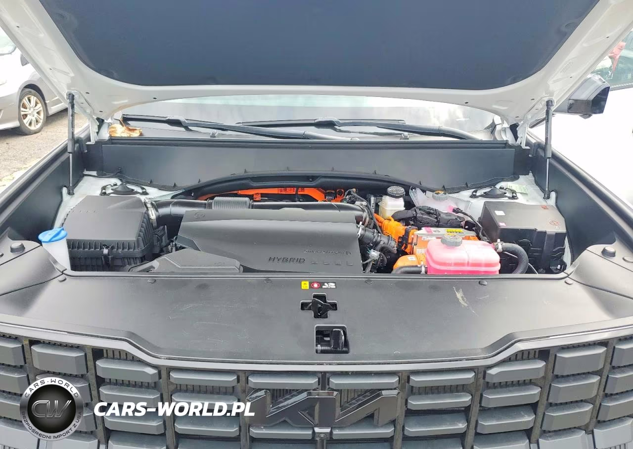 2027 Kia Telluride Hybrid X-Line Sx Prestige VIN:5XYPLESA3VG023900 - 12