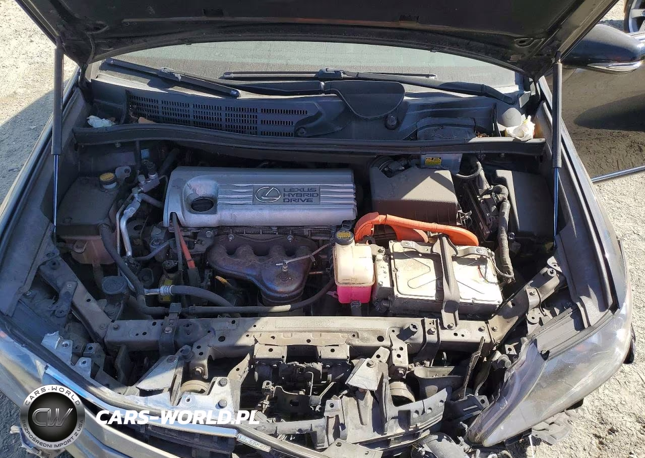 2010 Lexus Hs 250H VIN:JTHBB1BA6A2010082 - 11