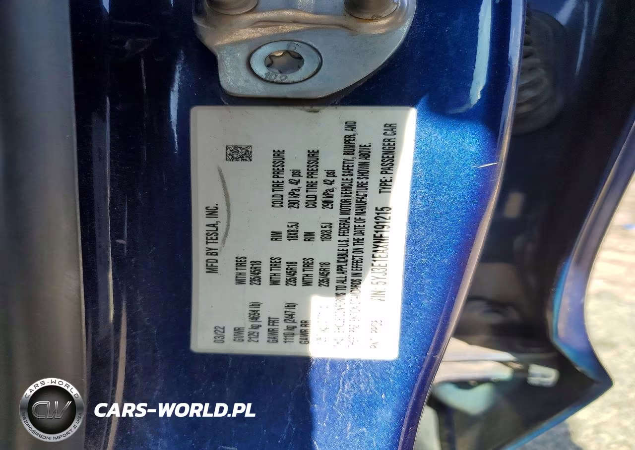 2022 Tesla Model 3 VIN:5YJ3E1EAXNF191215 - 12