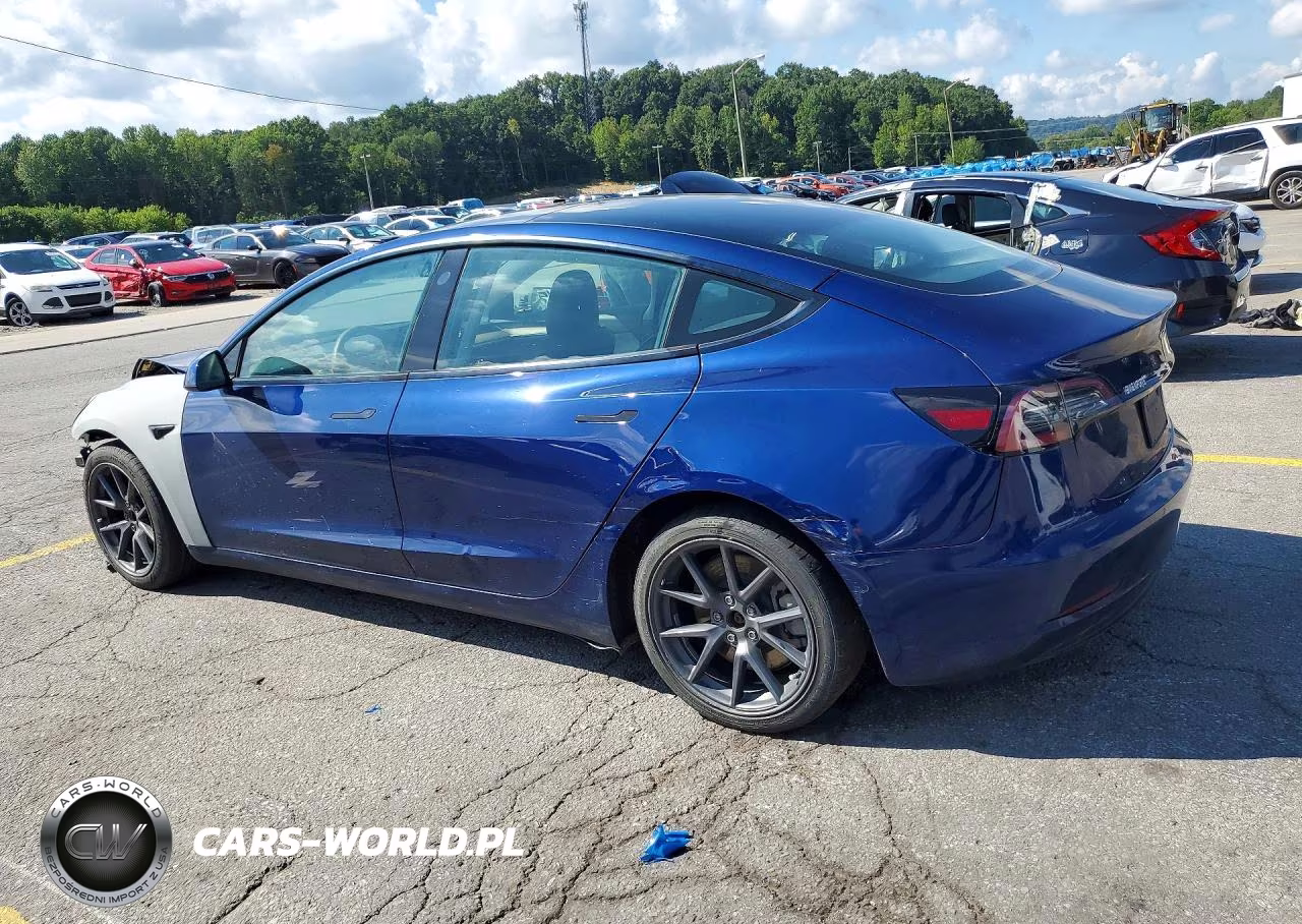 2022 Tesla Model 3 VIN:5YJ3E1EAXNF191215 - 2