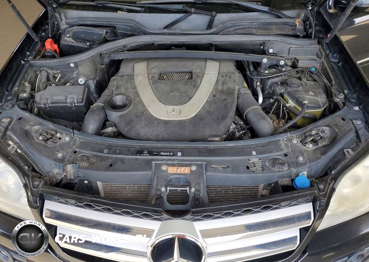 2009 Mercedes-Benz Gl 450 4Matic VIN:4JGBF71E29A478787 - 12