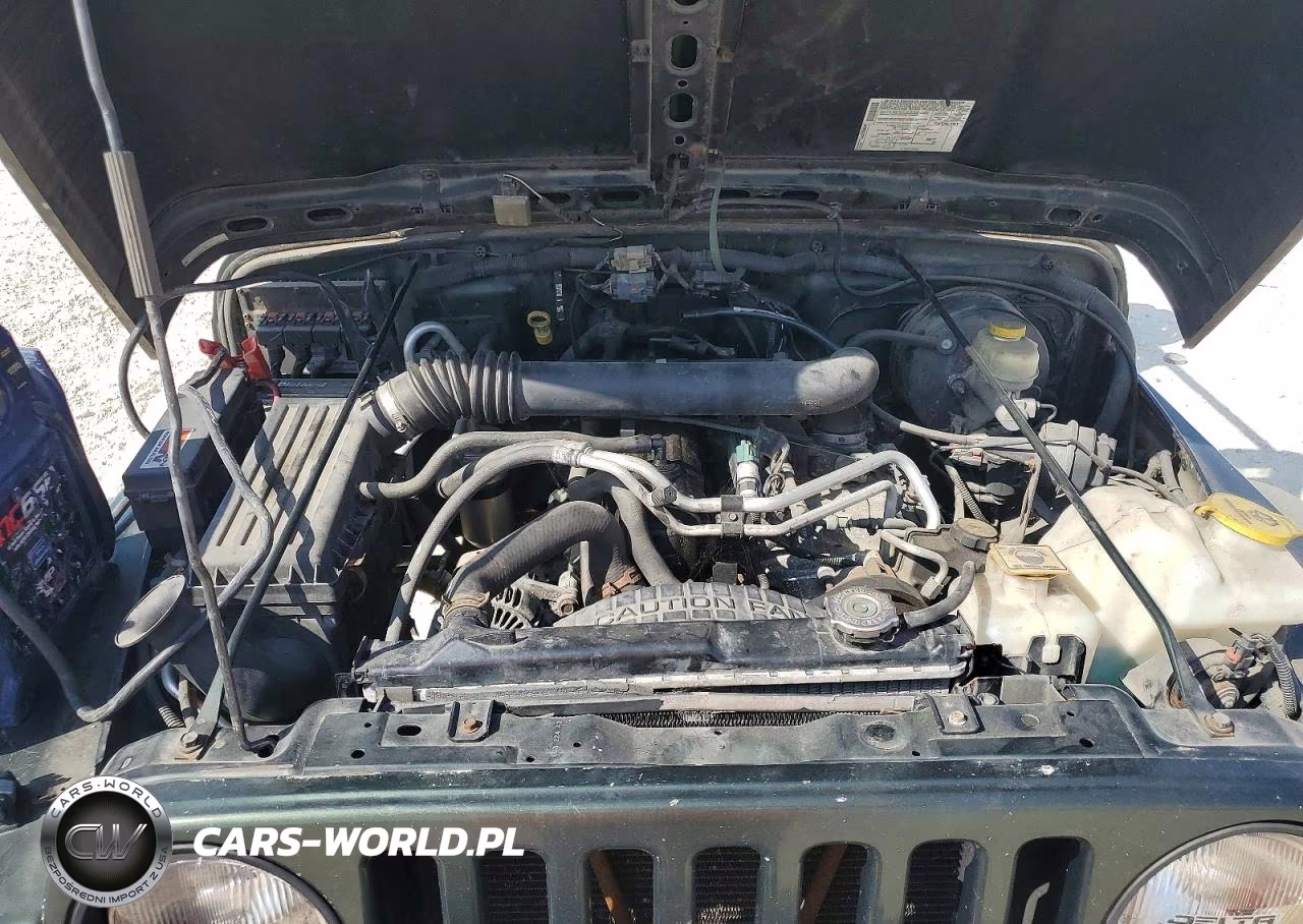 2004 Jeep Wrangler X VIN:1J4FA39S34P123456 - 12
