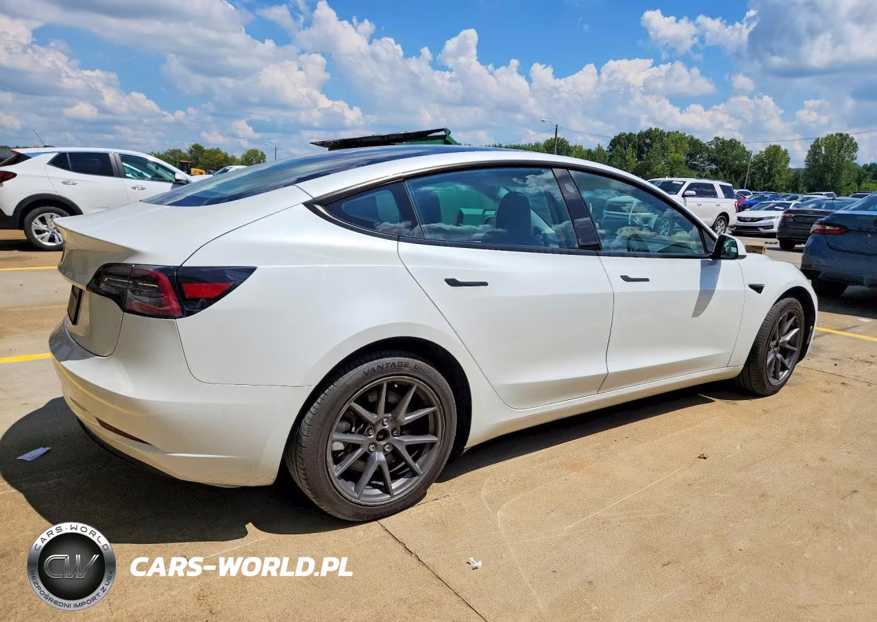 2023 Tesla Model 3 VIN:5YJ3E1EA7PF437219 - 3