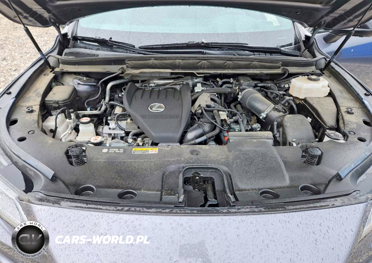2023 Lexus Rx 500H F Sport VIN:2T2BCMEA2PC004362 - 12