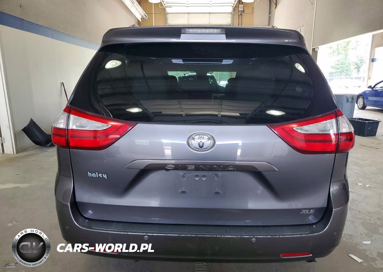 2017 Toyota Sienna Xle Premium 8-Passenger VIN:5TDYZ3DC2HS807126 - 12