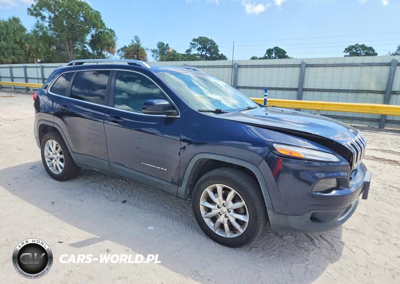 2014 Jeep Cherokee Limited VIN:1C4PJMDS4EW168050 - 4