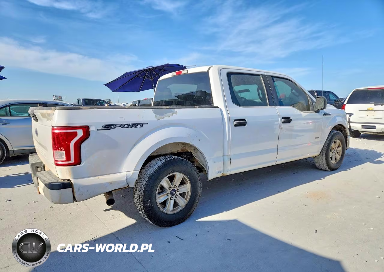 2017 Ford F150 Supercrew VIN:1FTEW1CP8HKD81194 - 3