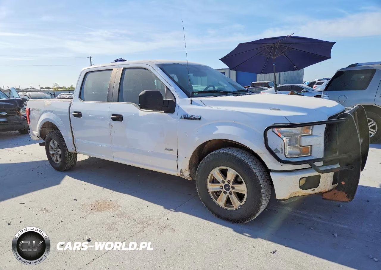 2017 Ford F150 Supercrew VIN:1FTEW1CP8HKD81194 - 4