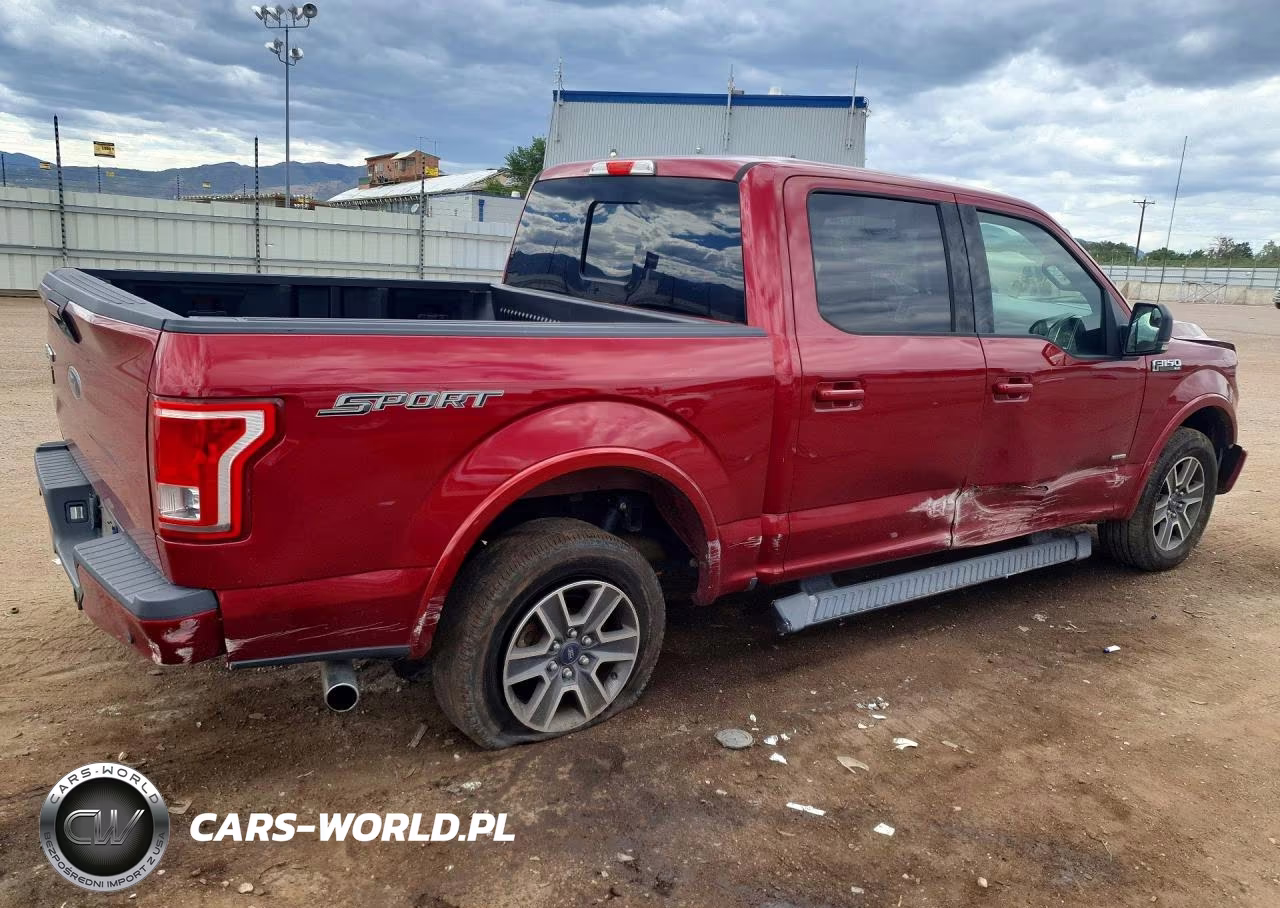 2016 Ford F150 Supercrew VIN:1FTEW1CP5GFC79424 - 3