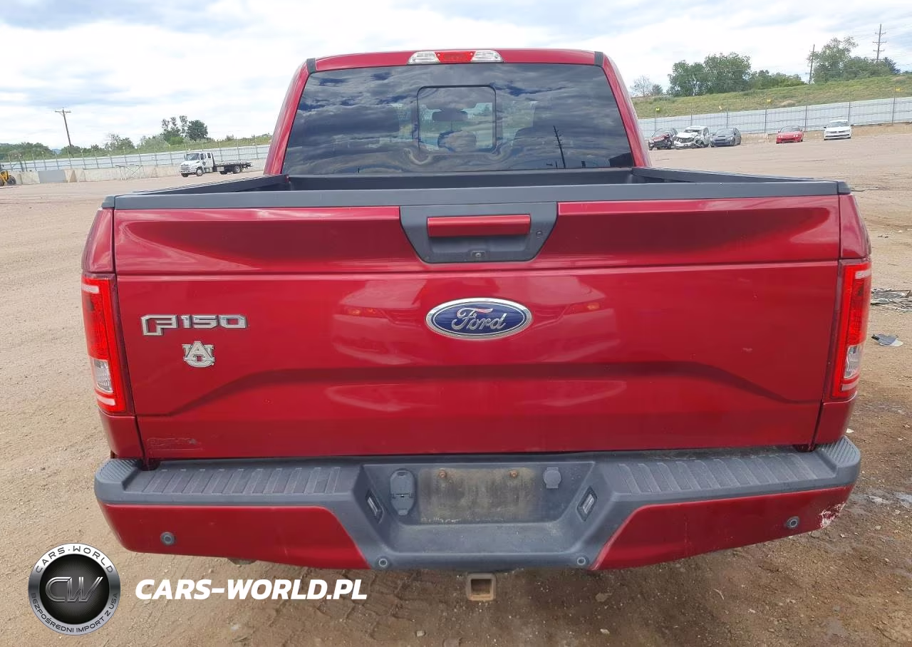 2016 Ford F150 Supercrew VIN:1FTEW1CP5GFC79424 - 6