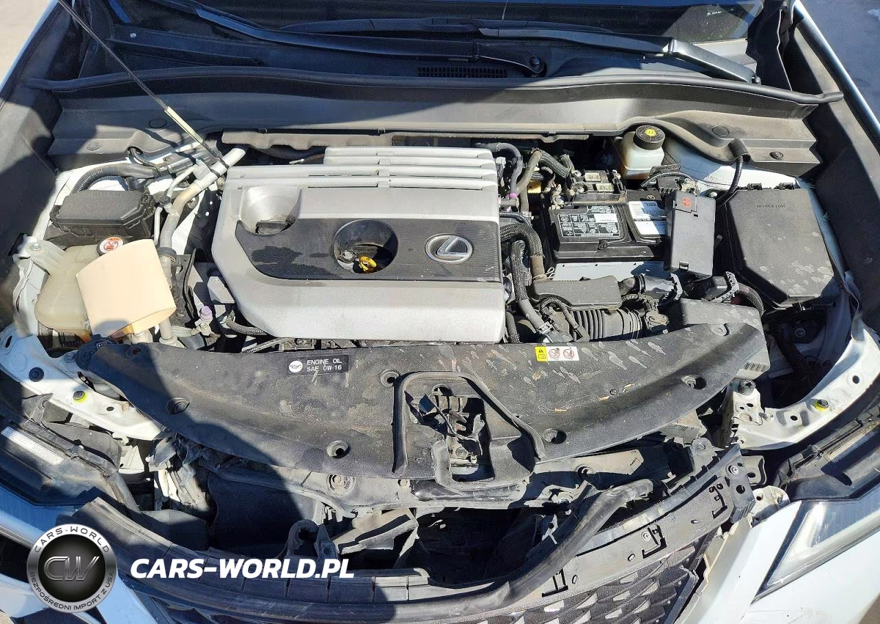 2019 Lexus Ux 200 VIN:JTHY3JBH0K2007877 - 12