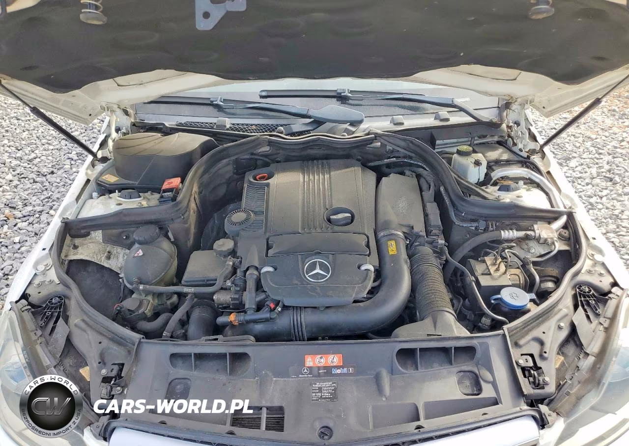 2013 Mercedes-Benz C 250 VIN:WDDGJ4HB3DF956395 - 11
