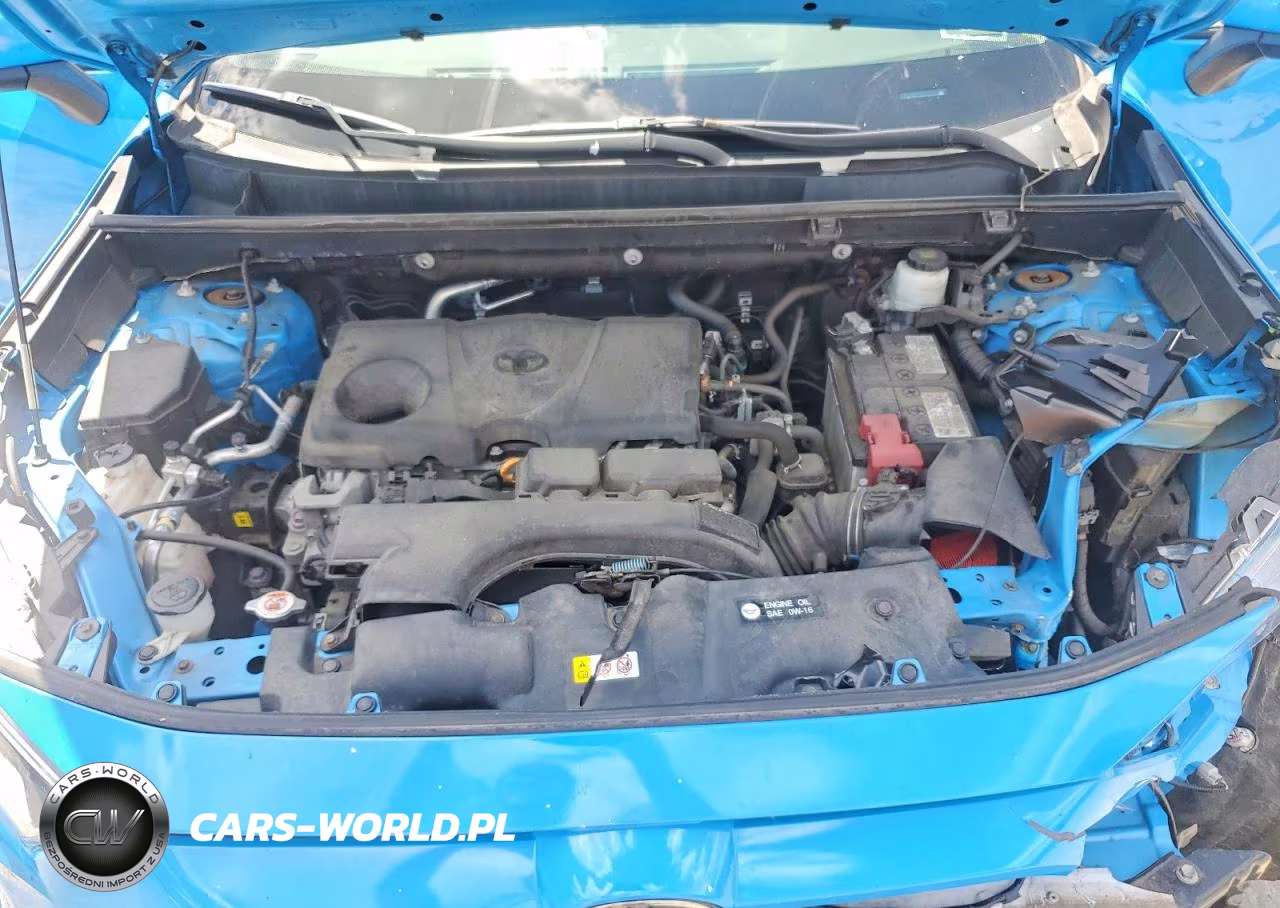 2021 Toyota Rav4 Xle VIN:2T3P1RFV0MW244669 - 12