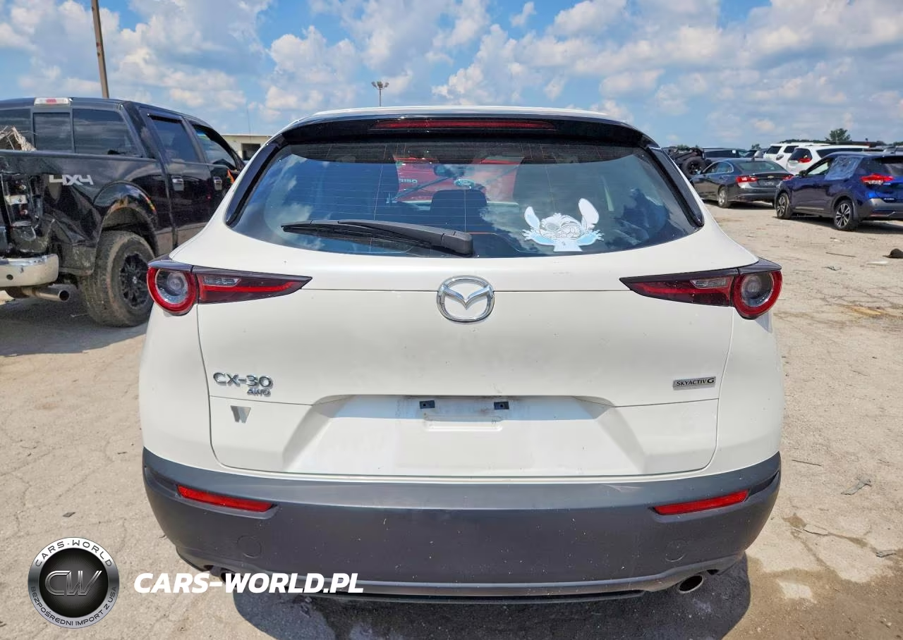 2023 Mazda Cx-30 VIN:3MVDMBAM9PM549947 - 6