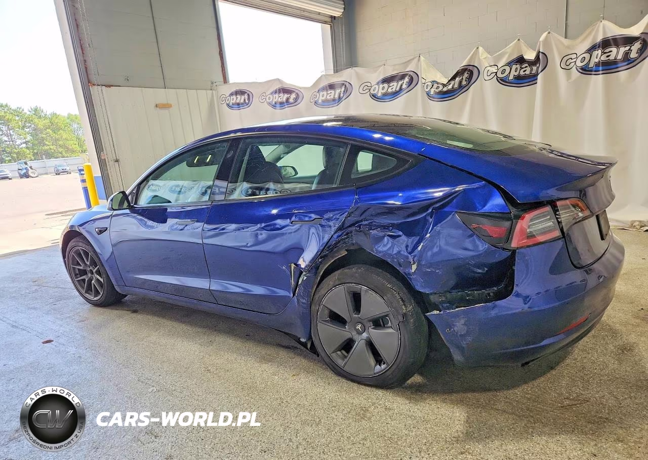 2022 Tesla Model 3 VIN:5YJ3E1EA4NF369118 - 2