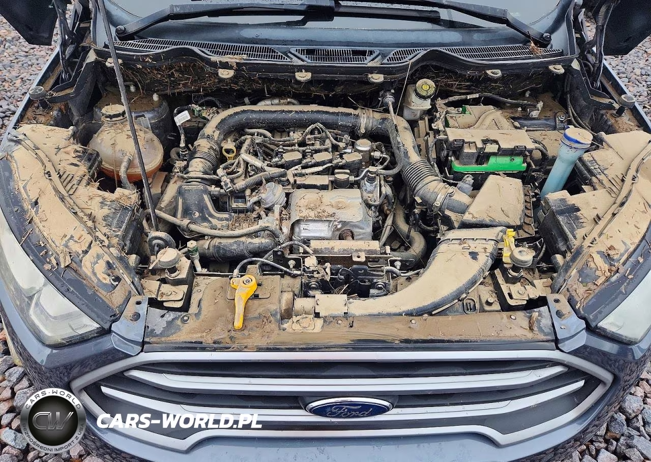 2020 Ford Ecosport Se VIN:MAJ3S2GE3LC312763 - 11