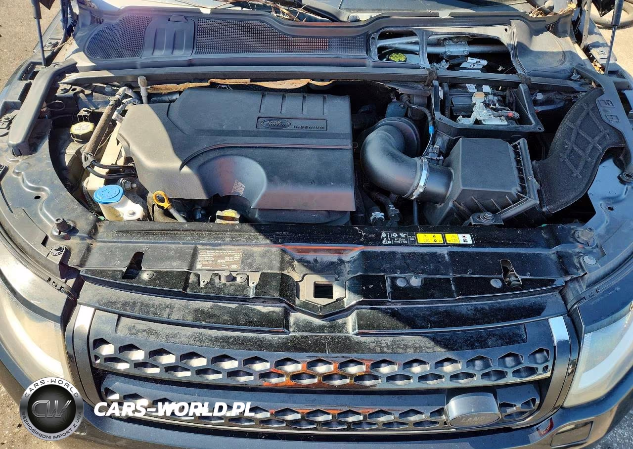 2019 Land Rover Range Rover Evoque Se VIN:SALVP2RX4KH342240 - 12