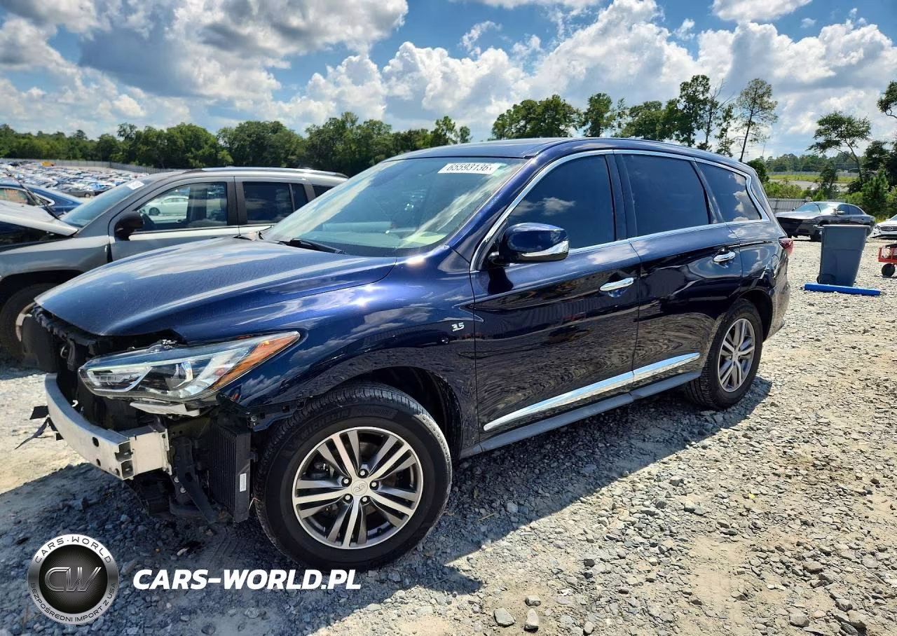 2020 Infiniti Qx60 Pure VIN:5N1DL0MM6LC501513 - 1