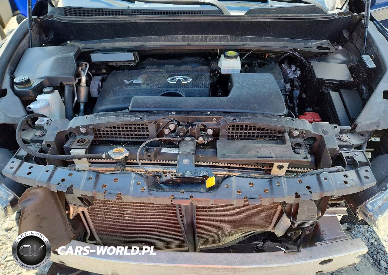 2020 Infiniti Qx60 Pure VIN:5N1DL0MM6LC501513 - 12