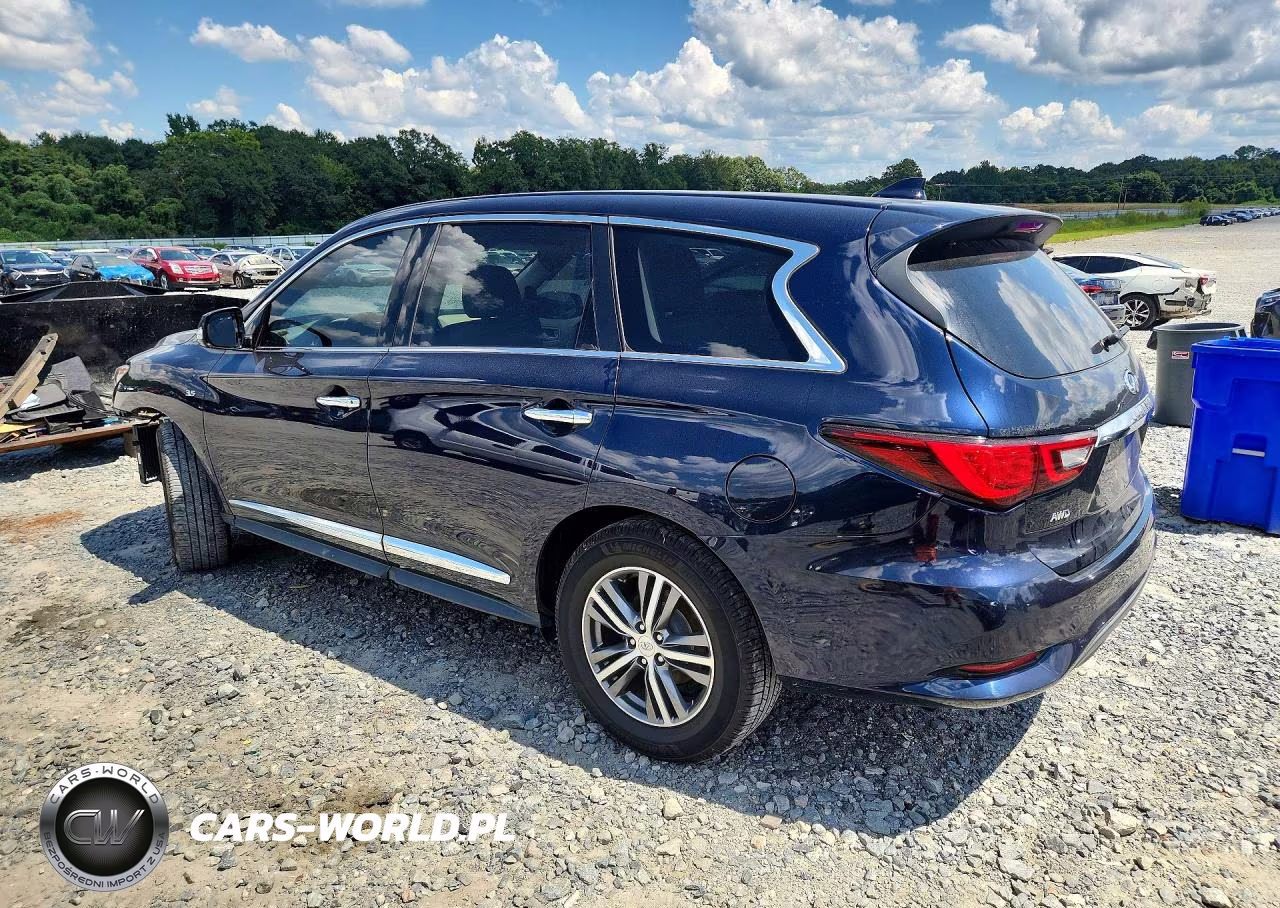 2020 Infiniti Qx60 Pure VIN:5N1DL0MM6LC501513 - 2