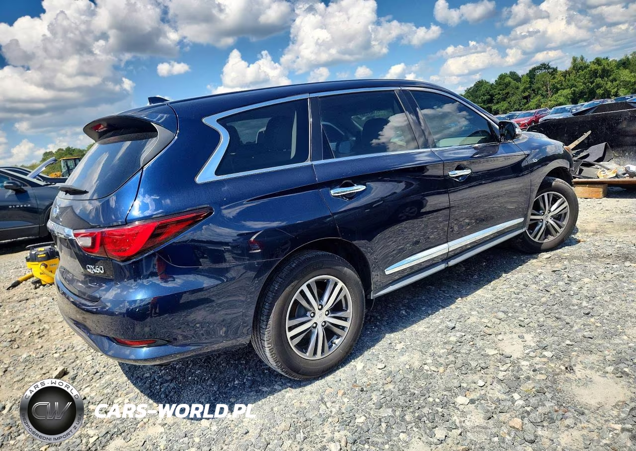 2020 Infiniti Qx60 Pure VIN:5N1DL0MM6LC501513 - 3