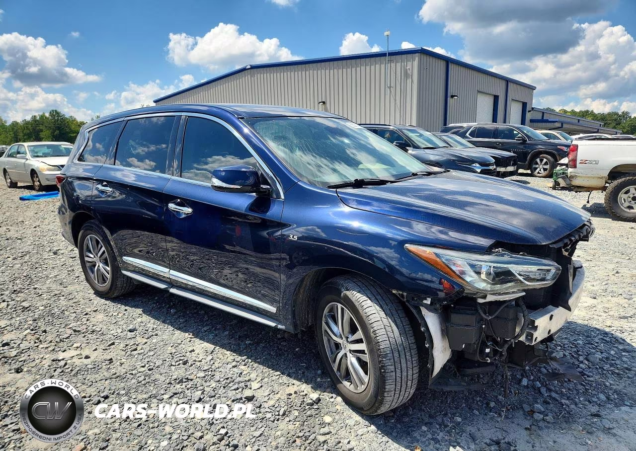2020 Infiniti Qx60 Pure VIN:5N1DL0MM6LC501513 - 4
