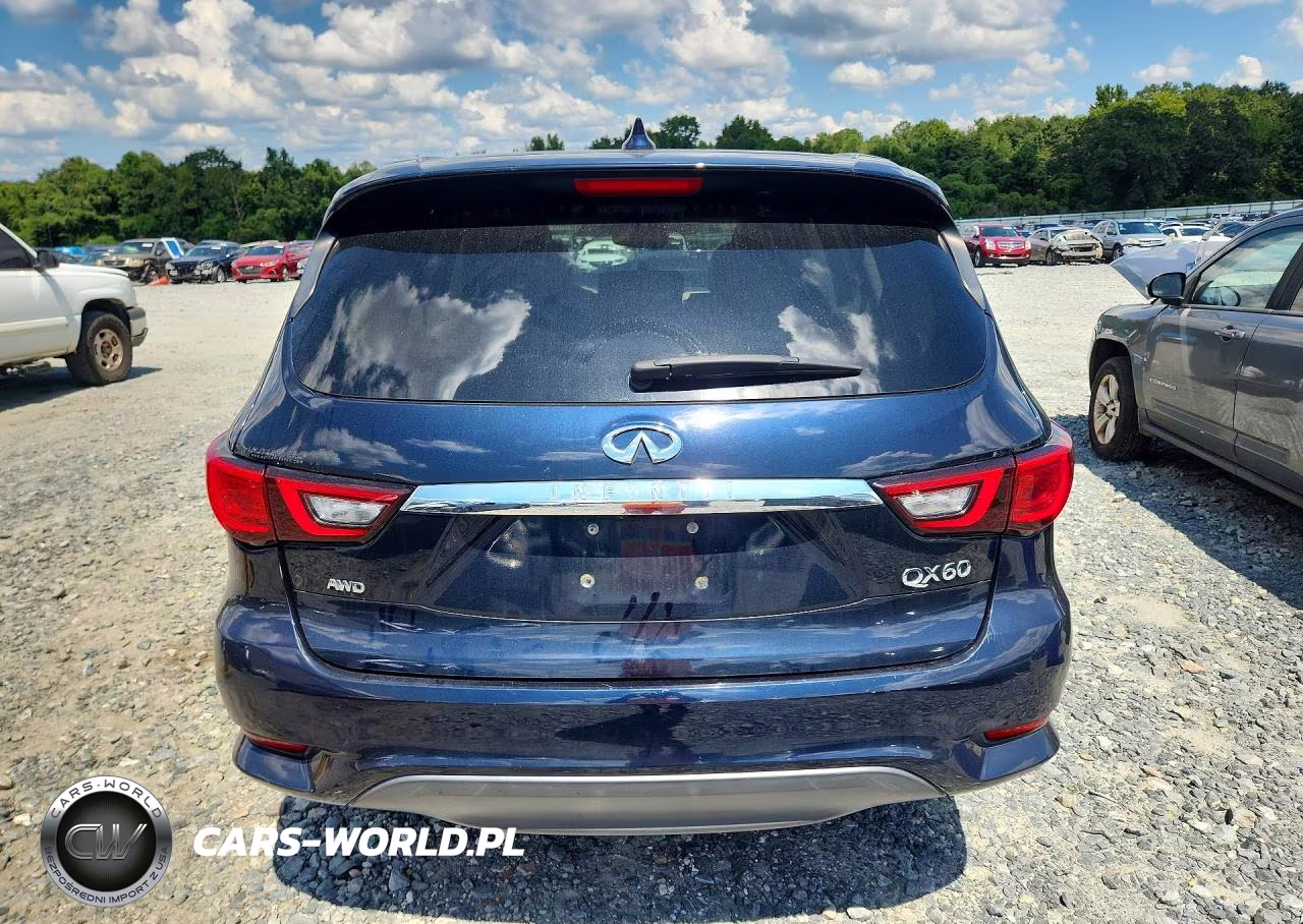 2020 Infiniti Qx60 Pure VIN:5N1DL0MM6LC501513 - 6