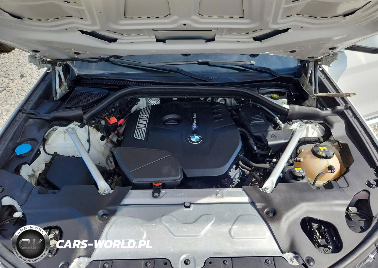 2019 BMW X3 Sdrive30I VIN:5UXTR7C53KLE97034 - 12