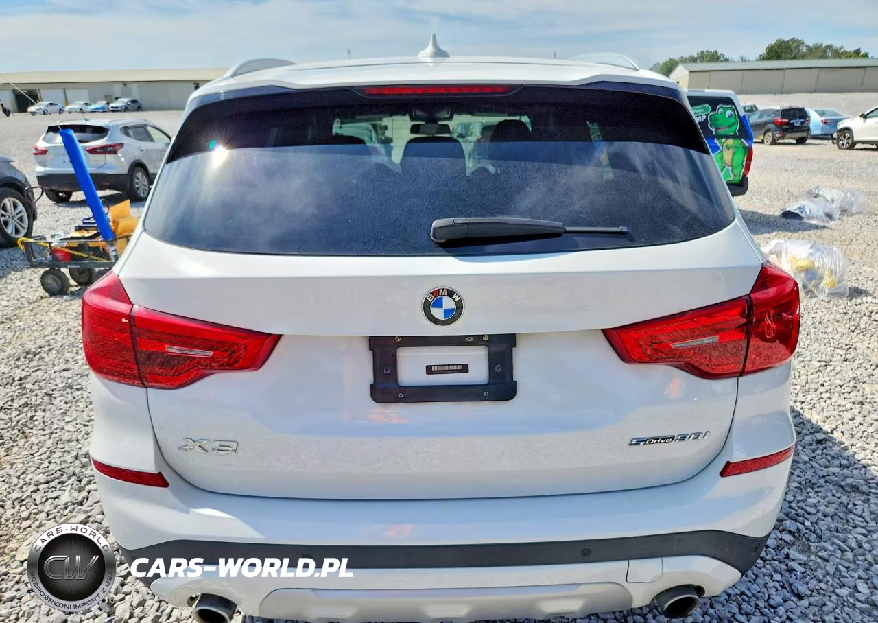 2019 BMW X3 Sdrive30I VIN:5UXTR7C53KLE97034 - 6