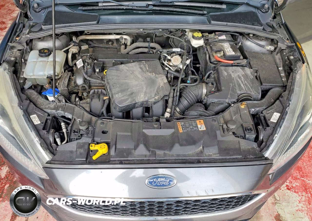 2018 Ford Focus Se VIN:1FADP3F26JL315981 - 11