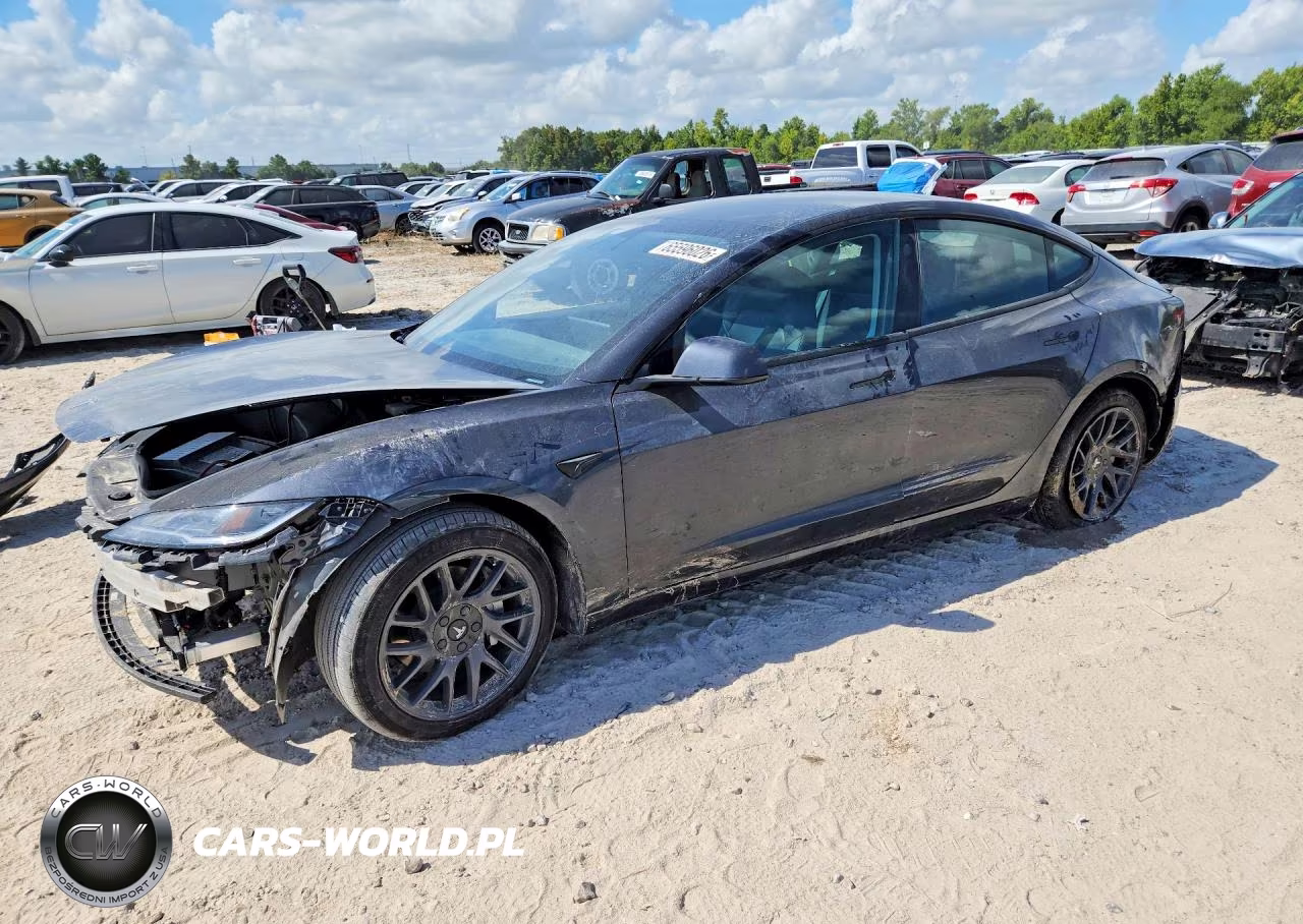 2025 Tesla Model 3 Long Range Rear-Wheel Drive-Standard Rear-Wheel Drive VIN:5YJ3E1EA1SF082427 - 1