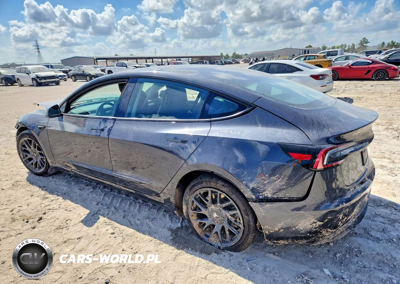2025 Tesla Model 3 Long Range Rear-Wheel Drive-Standard Rear-Wheel Drive VIN:5YJ3E1EA1SF082427 - 2