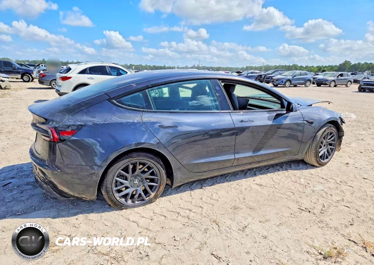 2025 Tesla Model 3 Long Range Rear-Wheel Drive-Standard Rear-Wheel Drive VIN:5YJ3E1EA1SF082427 - 3