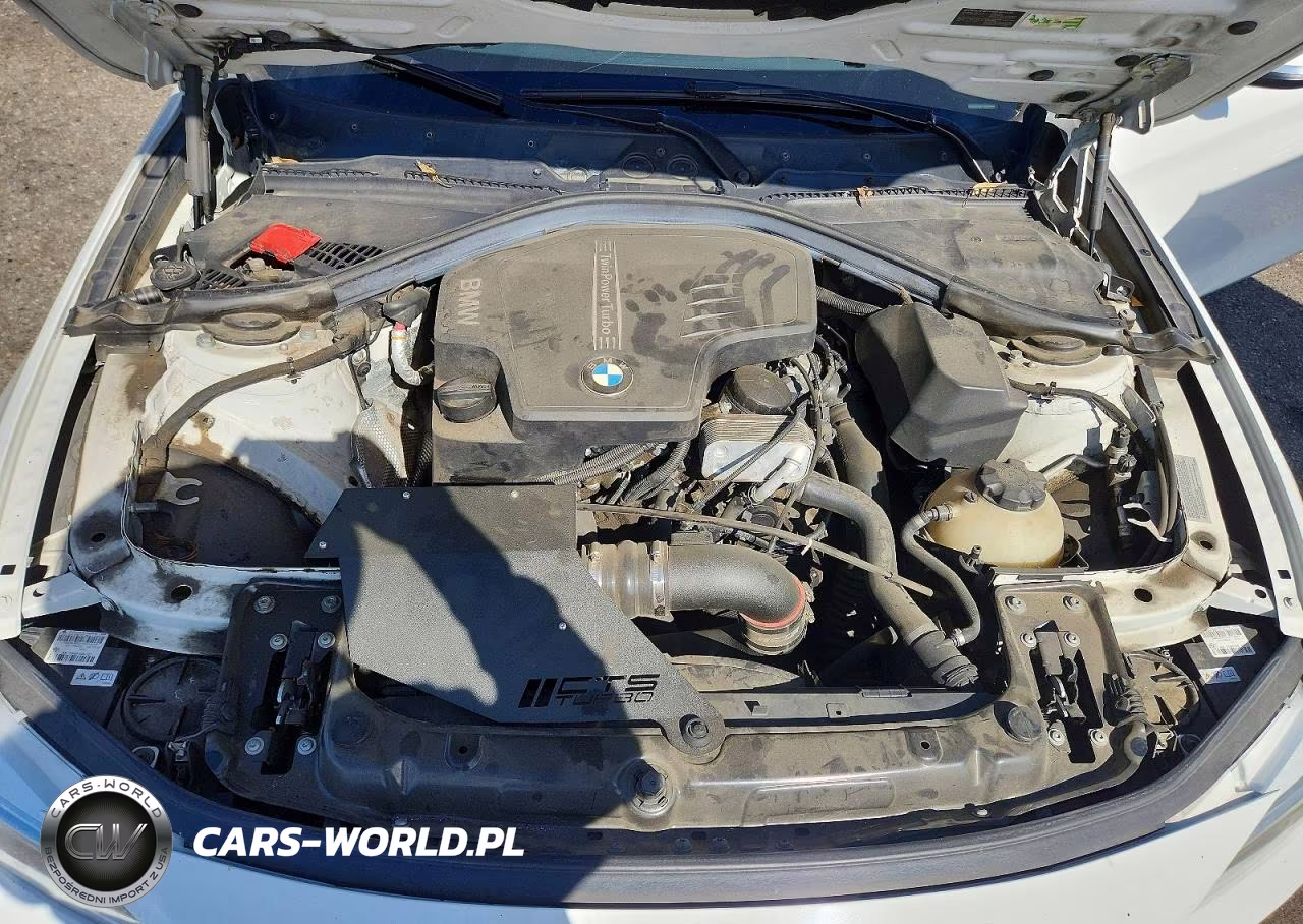 2014 BMW 428 I VIN:WBA3N7C58EF719982 - 11