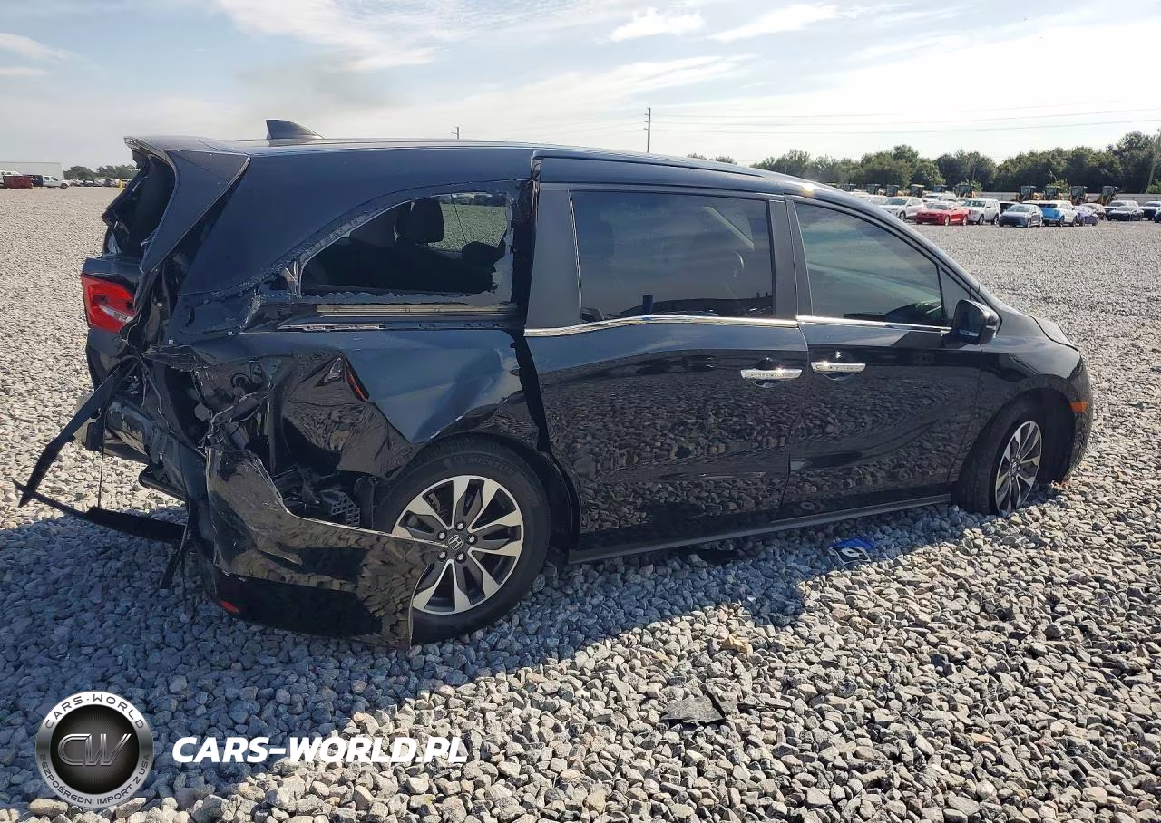 2024 Honda Odyssey Exl VIN:5FNRL6H66RB012940 - 3