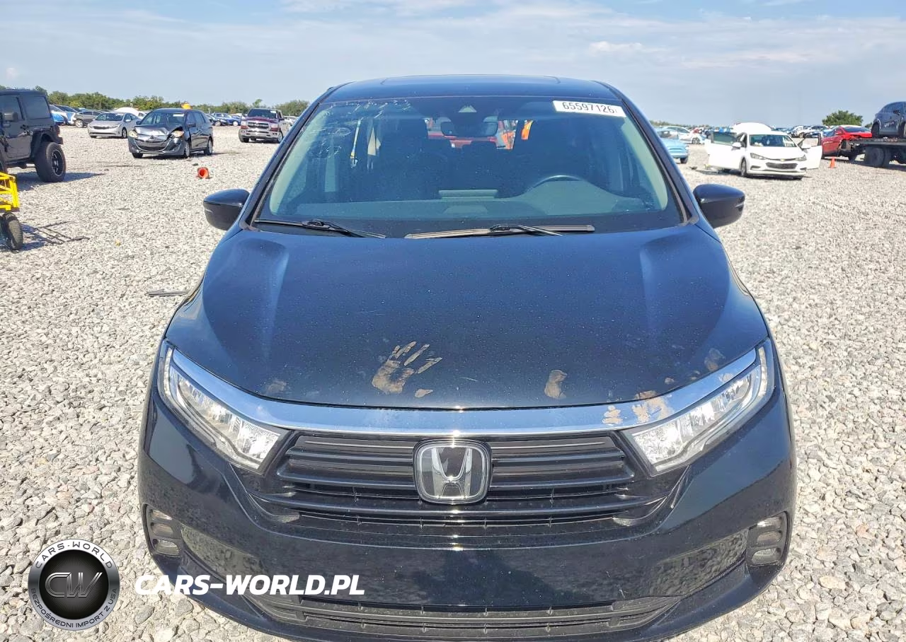2024 Honda Odyssey Exl VIN:5FNRL6H66RB012940 - 5