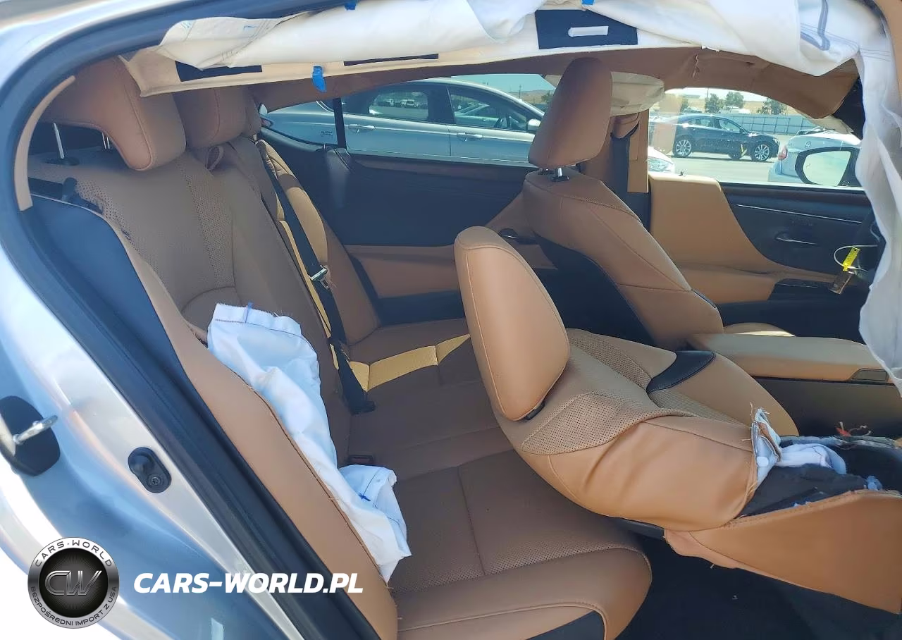 2022 Lexus Es 300H Base VIN:58ADA1C13NU017890 - 10