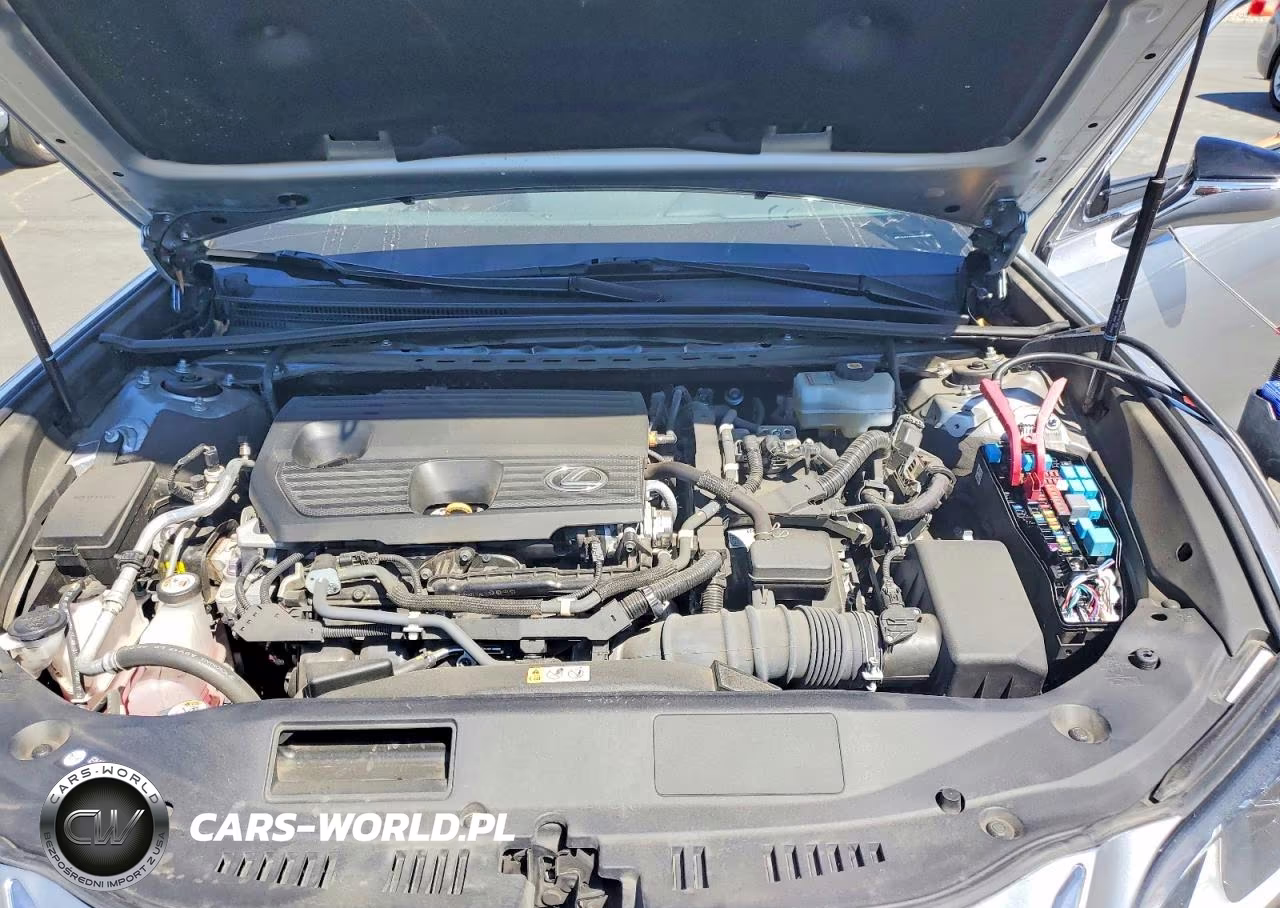 2022 Lexus Es 300H Base VIN:58ADA1C13NU017890 - 11