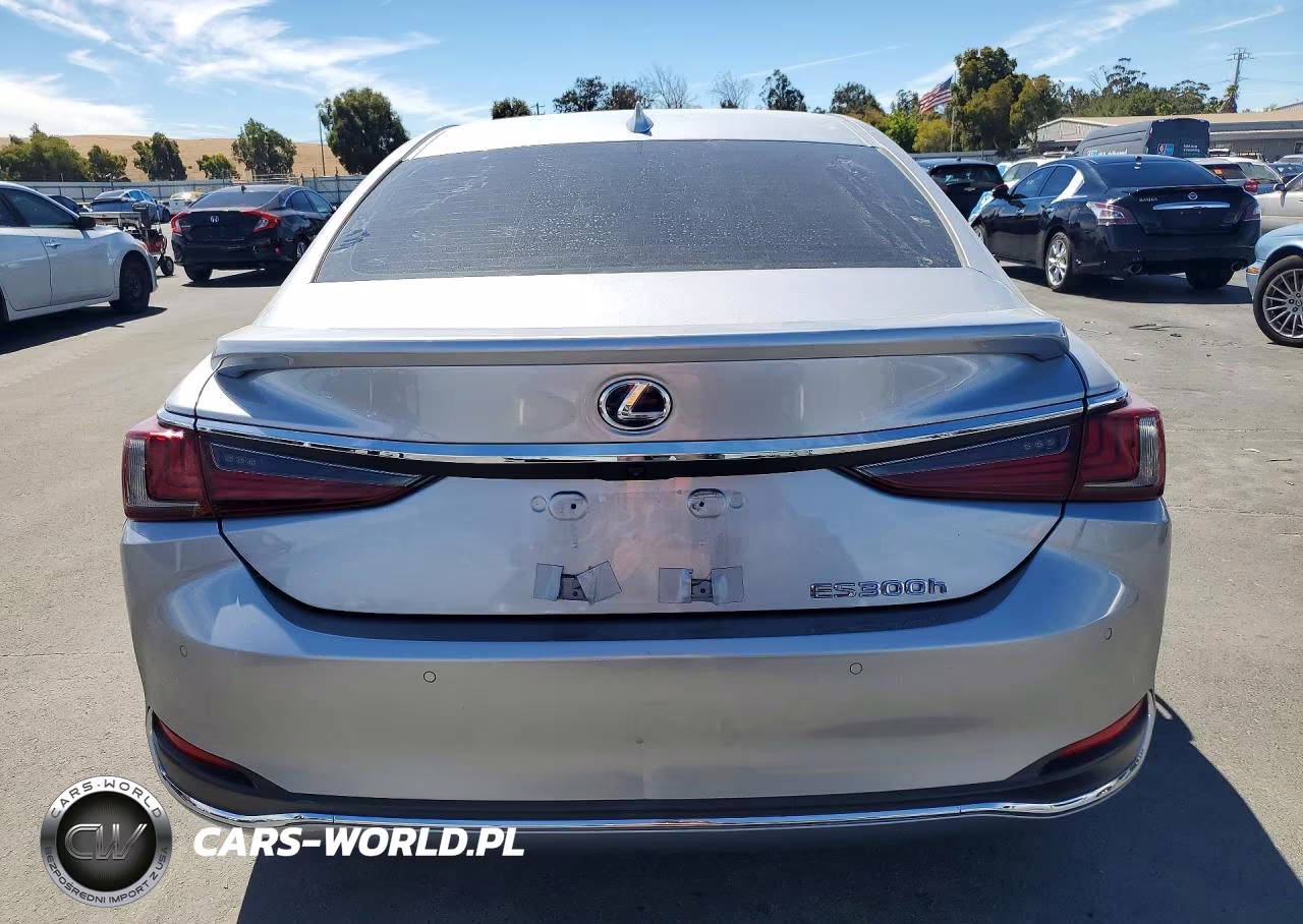 2022 Lexus Es 300H Base VIN:58ADA1C13NU017890 - 6