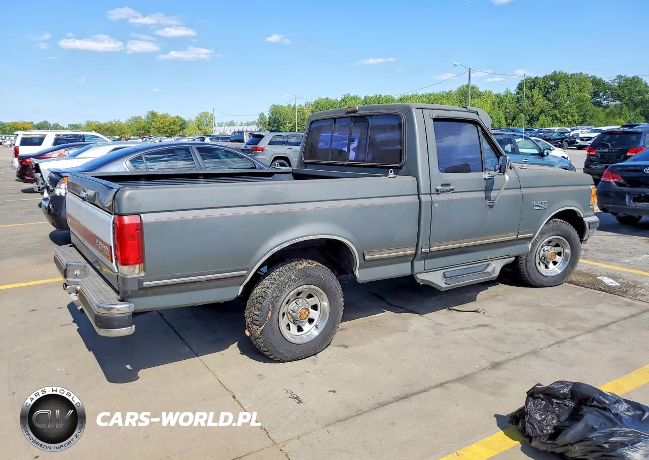 1990 Ford F150 VIN:1FTDF15N4LLB10367 - 3
