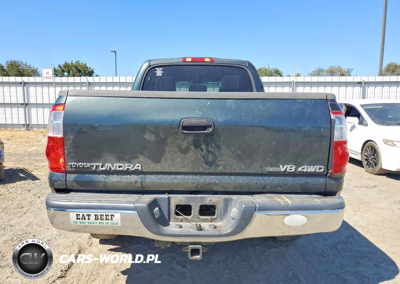 2005 Toyota Tundra Double Cab Sr5 VIN:5TBDT44105S480928 - 6