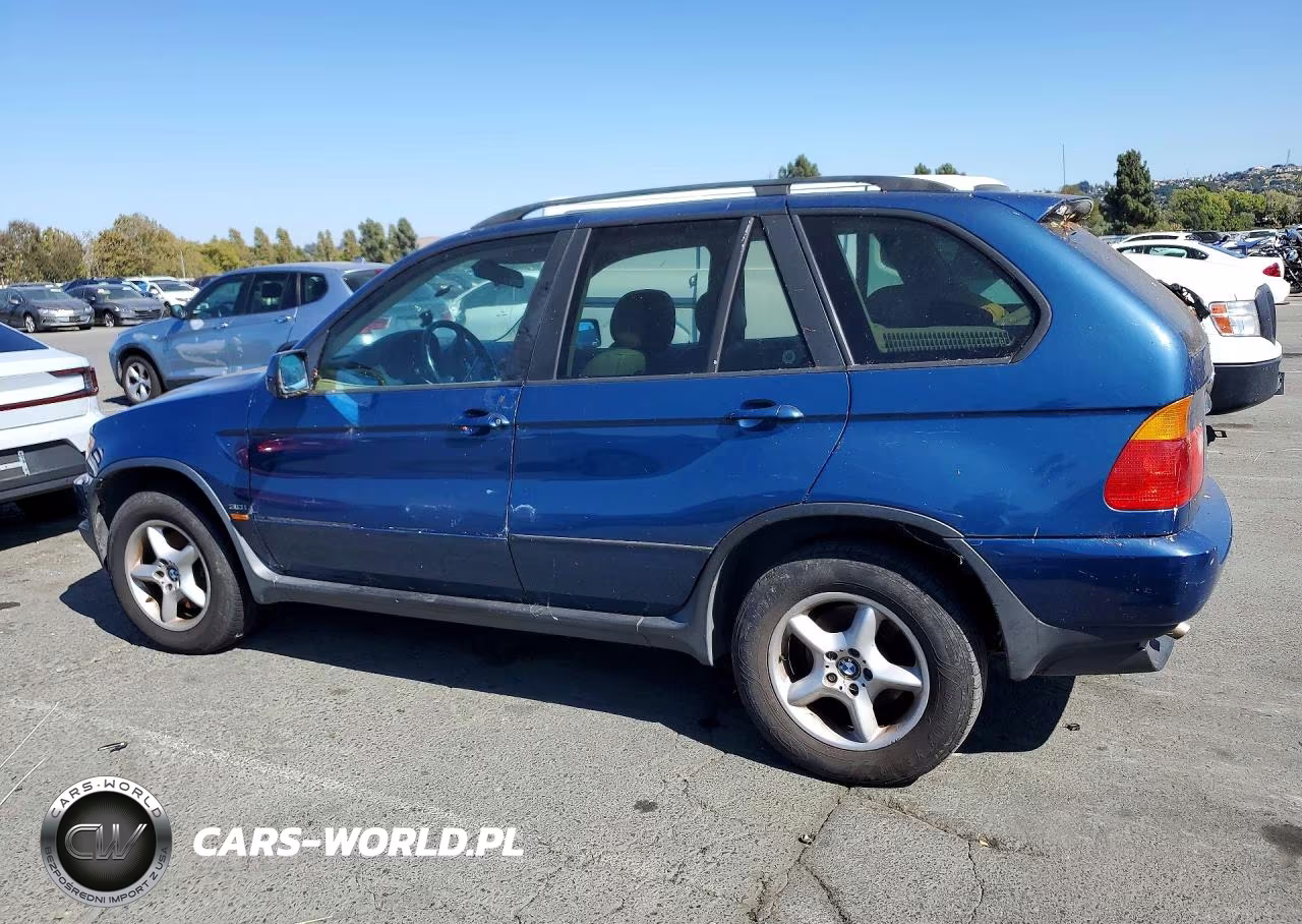 2002 BMW X5 3.0I VIN:5UXFA53522LP45361 - 2