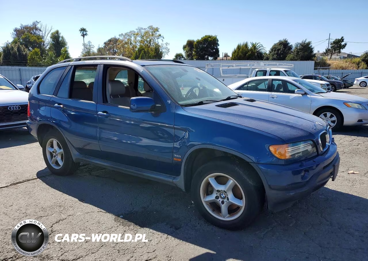 2002 BMW X5 3.0I VIN:5UXFA53522LP45361 - 4