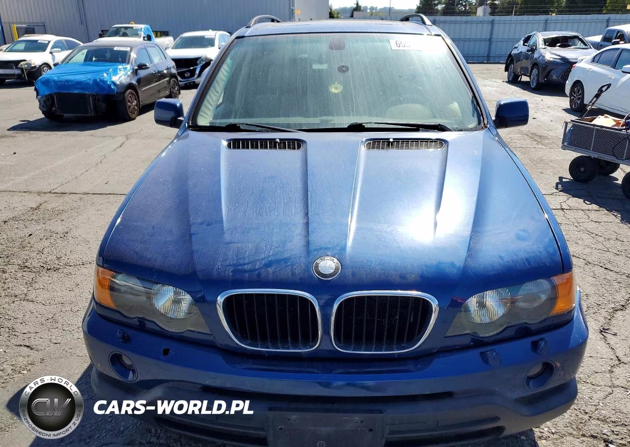 2002 BMW X5 3.0I VIN:5UXFA53522LP45361 - 5