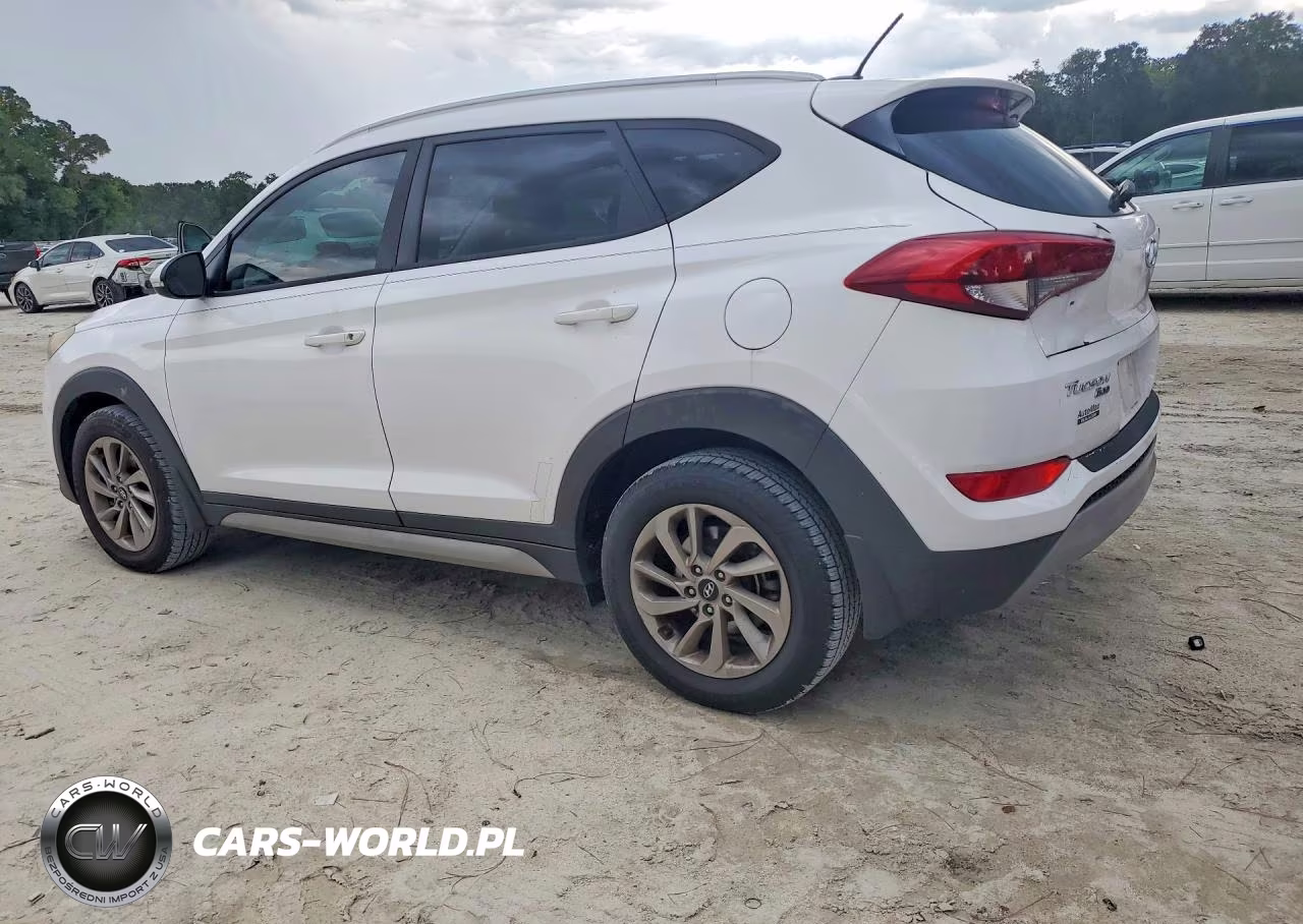 2017 Hyundai Tucson Eco VIN:KM8J33A20HU272853 - 2